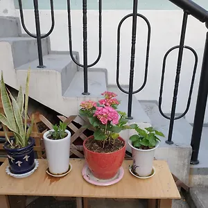 Oh My Guest house